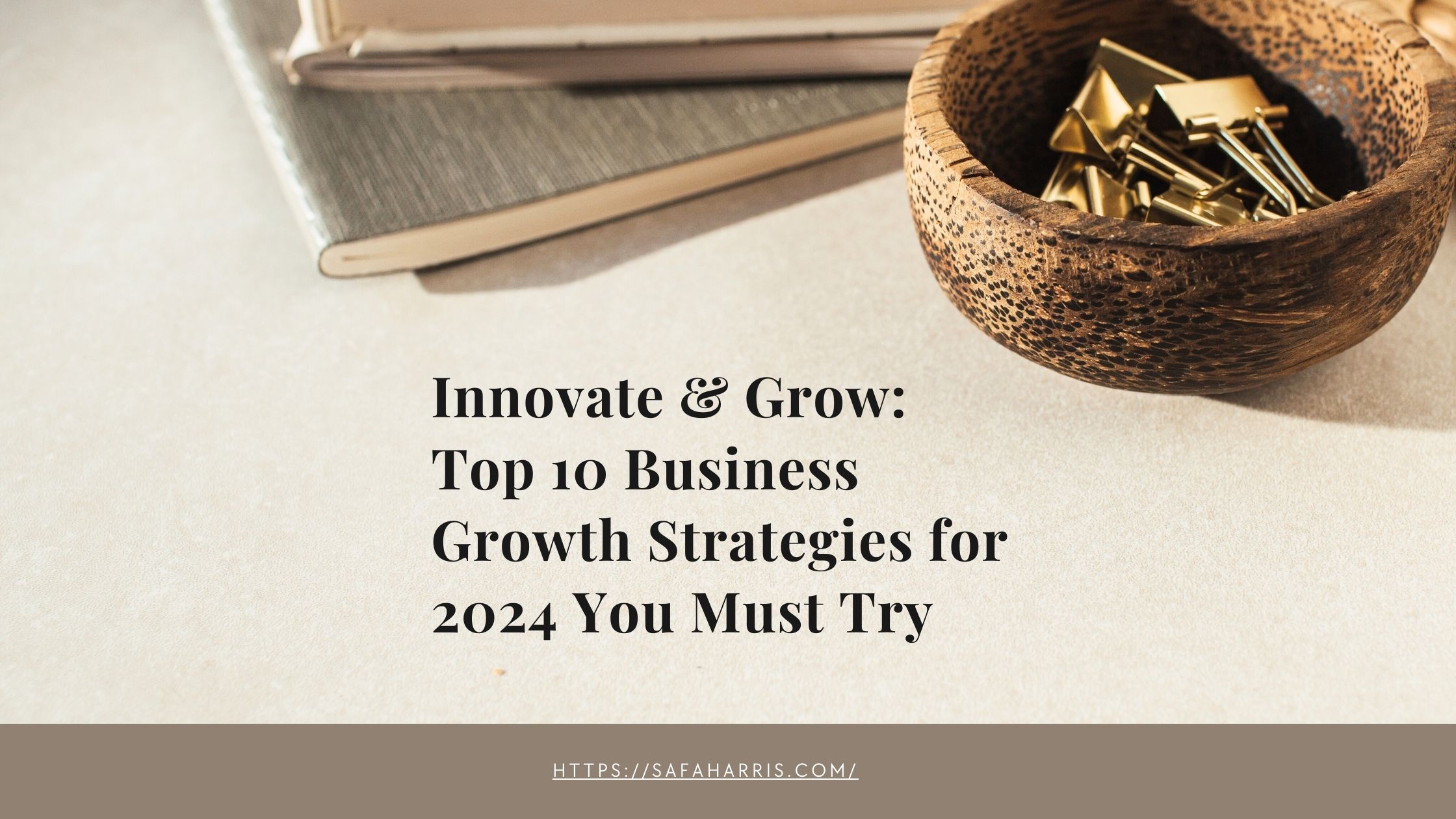 Business Growth Strategies